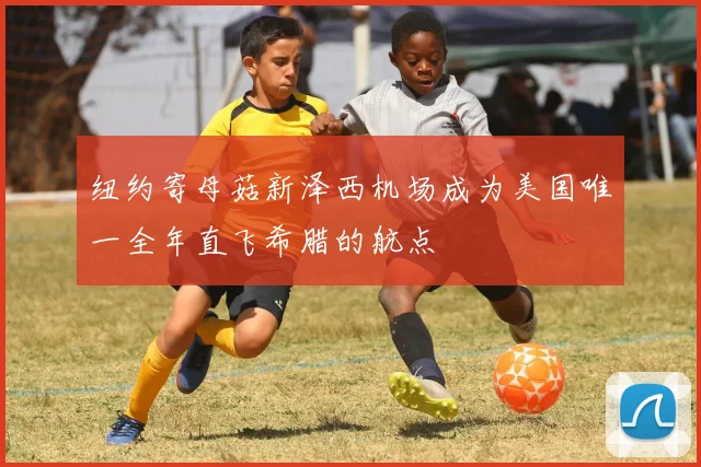 纽约寄母菇新泽西机场成为美国唯一全年直飞希腊的航点