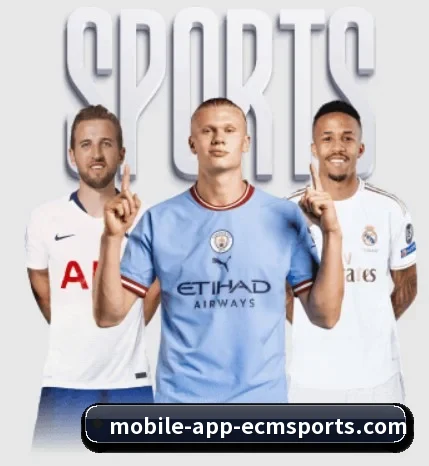 每个板块围绕一个运动项目展开 - EMCSPORTS